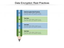 Data encryption rest practices ppt powerpoint presentation summary cpb