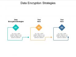 Data encryption strategies ppt powerpoint presentation outline format cpb