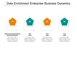 Data enrichment enterprise business dynamics ppt powerpoint presentation file slide portrait cpb