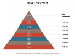 Data entitlement ppt powerpoint presentation icon samples cpb