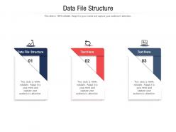 Data file structure ppt powerpoint presentation portfolio layouts cpb
