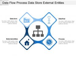 Data flow process data store external entities