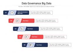 Data governance big data ppt powerpoint presentation show designs download cpb