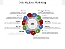Data hygiene marketing ppt powerpoint presentation show graphics download cpb