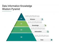 Data Information Knowledge Wisdom Pyramid