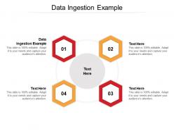 Data ingestion example ppt powerpoint presentation inspiration infographics cpb