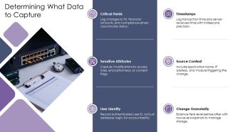 Data Integrity Audit Trail PPT Graphics VA Multipurpose Visual