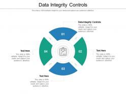 Data integrity controls ppt powerpoint presentation professional background designs cpb