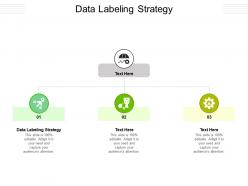 Data labeling strategy ppt powerpoint presentation infographics background image cpb