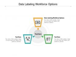 Data labeling workforce options ppt powerpoint presentation infographics model cpb