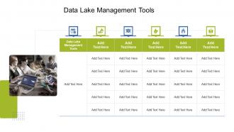 Data Lake Management Tools In Powerpoint And Google Slides Cpb