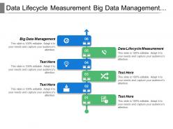 Data Lifecycle Measurement Big Data Management Quality Monitoring