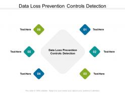 Data loss prevention controls detection ppt powerpoint presentation clipart cpb