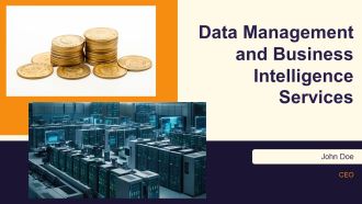 Data Management And Business Intelligence Services PPT Structure AT