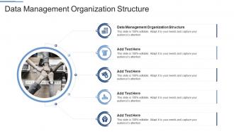 Data Management Organization Structure In Powerpoint And Google Slides Cpb