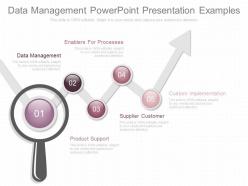 Data management powerpoint presentation examples
