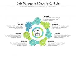 Data management security controls ppt powerpoint presentation layouts shapes cpb