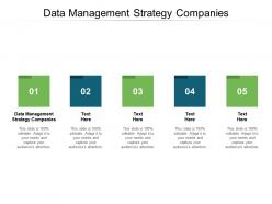 Data management strategy companies ppt powerpoint presentation gallery visuals cpb