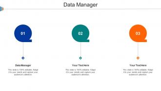 Data Manager Ppt Powerpoint Presentation Pictures Smartart Cpb