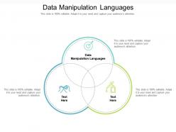 Data manipulation languages ppt powerpoint presentation outline smartart cpb