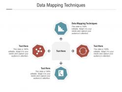 Data mapping techniques ppt powerpoint presentation icon model cpb