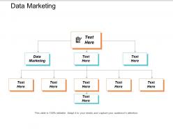 Data marketing ppt powerpoint presentation styles samples cpb