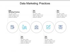 Data marketing practices ppt powerpoint presentation layouts design templates cpb