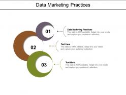 Data marketing practices ppt powerpoint presentation summary slide cpb
