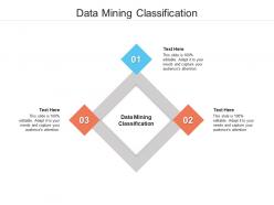 Data mining classification ppt powerpoint presentation slides portfolio cpb