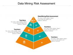 Data mining risk assessment ppt powerpoint presentation layouts format ideas cpb