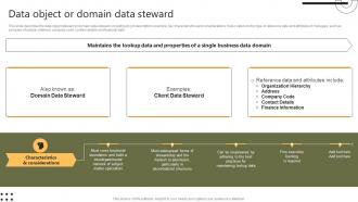 Data Object Or Domain Data Steward Stewardship By Systems Model