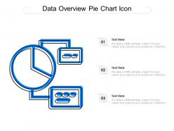 Data Overview Pie Chart Icon