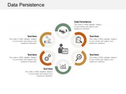 Data persistence ppt powerpoint presentation professional maker cpb