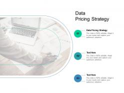 Data pricing strategy ppt powerpoint presentation show visual aids cpb