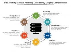 Data profiling circular accuracy consistency merging completeness