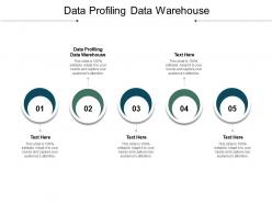 Data profiling data warehouse ppt powerpoint presentation model themes cpb
