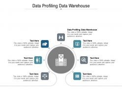 Data profiling data warehouse ppt powerpoint presentation show designs download cpb