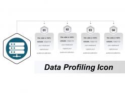 Data profiling icon 4