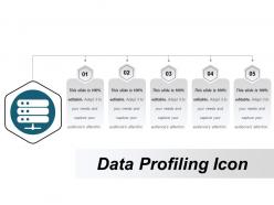 Data profiling icon 5