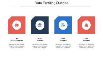 Data profiling queries ppt powerpoint presentation professional file formats cpb