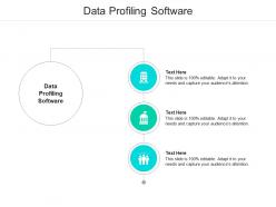Data profiling software ppt powerpoint presentation slides display cpb