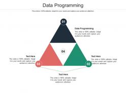 Data programming ppt powerpoint presentation styles rules cpb