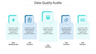 Data Quality Audits In Powerpoint And Google Slides Cpb