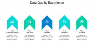 Data quality experience ppt powerpoint presentation visual aids model cpb