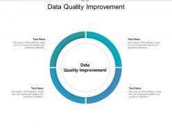 Data quality improvement ppt powerpoint presentation show outline cpb