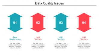 Data Quality Issues Ppt Powerpoint Presentation Inspiration Format Cpb