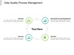 Data quality process management ppt powerpoint presentation infographic template ideas cpb
