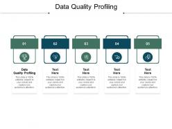 Data quality profiling ppt powerpoint presentation icon shapes cpb