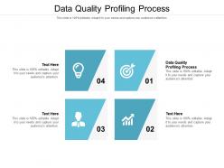 Data quality profiling process ppt powerpoint presentation layouts background image cpb