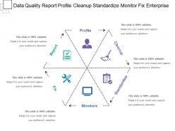 Data quality report profile cleanup standardize monitor fix enterprise